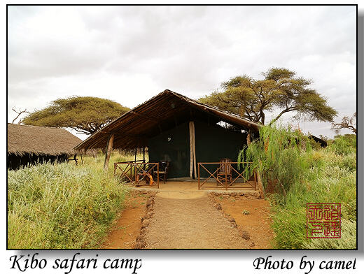Kibo safari camp