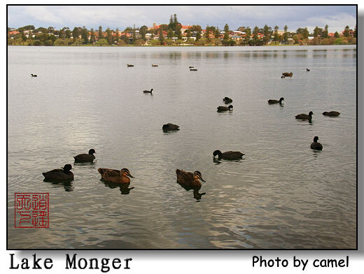 lake monger